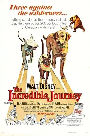 The-Incredible-Journey_1963